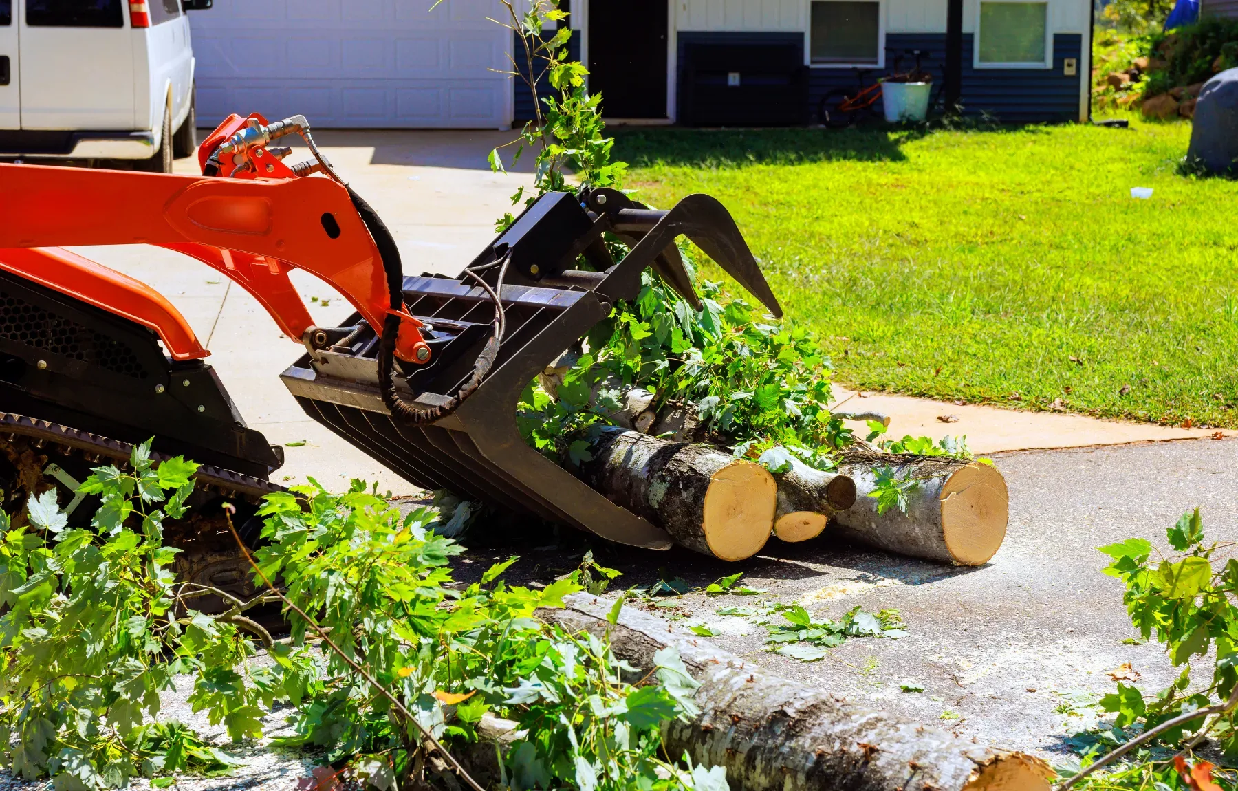 A compact orange track loader with a grapple attachment holds a cut section of log along with leafy branches, positioned on a